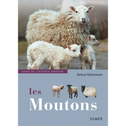 Boek: Moutons (in het Frans)