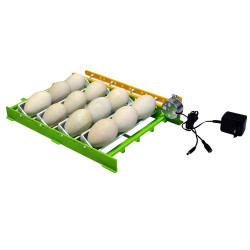 Automatische broedmachine voor 60 kippeneieren