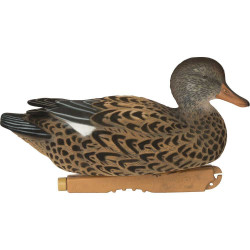 Pack 6 chipeaux HD GHG...