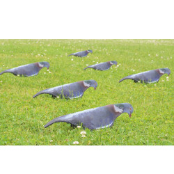 Pack de 6 appelants pigeons 3D