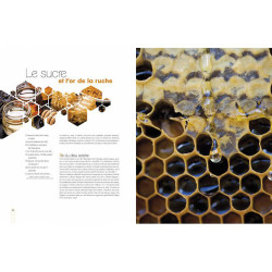Bijen - een fabelachtige wereld