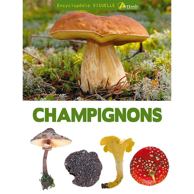 Champignons