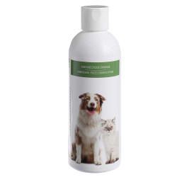 Shampoing insectifuge chien...