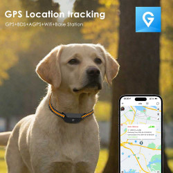 Traceur GPS 4G temps réel...