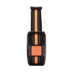 Dressuursband 2 honden 99...