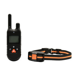 Collier dressage 2 chiens 8...