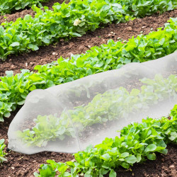 Groeitunnel 3m voor Tuin –...