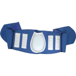Ceinture lombaire 16...